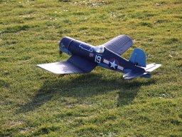 fliegen0803 10